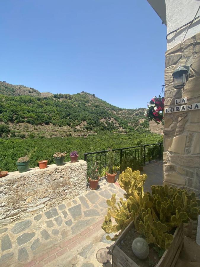 La Lozana - Rio Verde Jete Luaran gambar